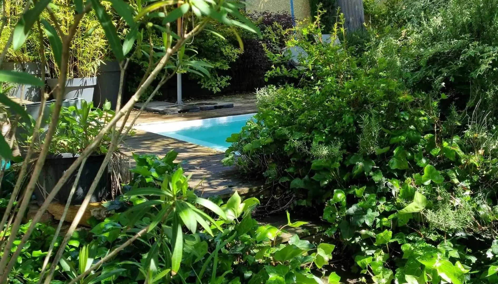Hotel Matin de Saône à Fontaines-Saint-Martin Maison d'hôtes