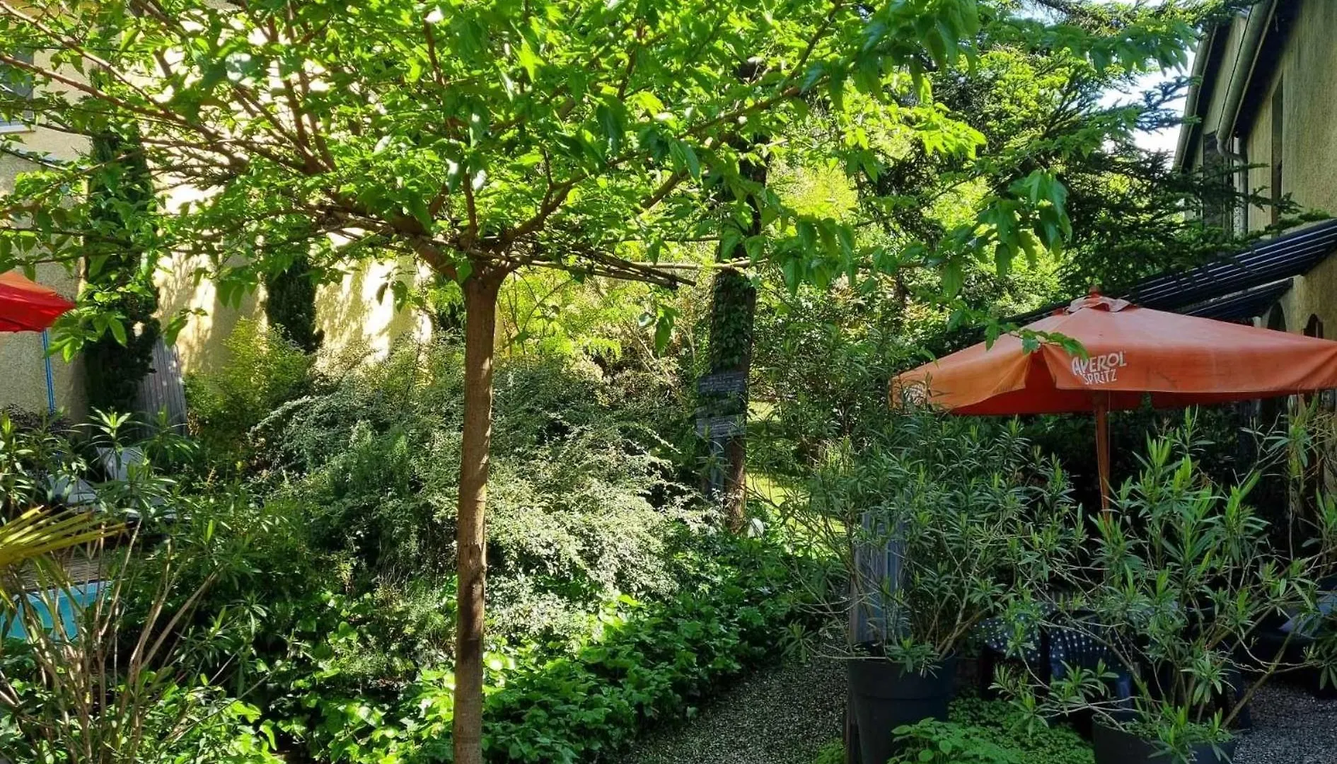 Maison d'hôtes Hotel Matin de Saône à Fontaines-Saint-Martin